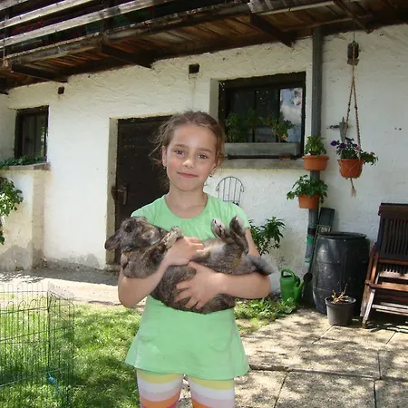 Gruberbauer Remsach Apartment *