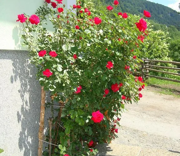 Gruberbauer Remsach Bad Gastein